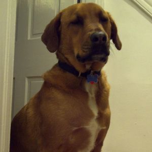 Meet your Posher, Gail